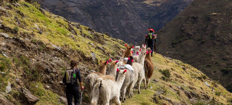 4 Days Trekking Through the Lares Valley + Machu Picchu - Inclusions and Exclusions