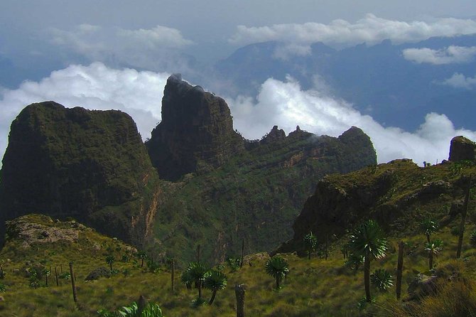 4 Days Trekking to Simien Mountain National Park - Fitness Requirements