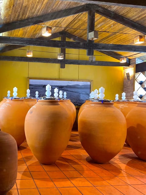 4-Days Wine Trip to Valencia & Requena! 16/9 - 20/9 - 2025 - Key Points