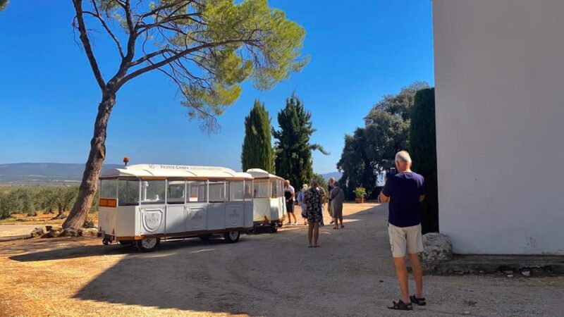4-Days Wine Trip to Valencia & Requena! 16/9 - 20/9 - 2025 - Wine Tasting Experiences