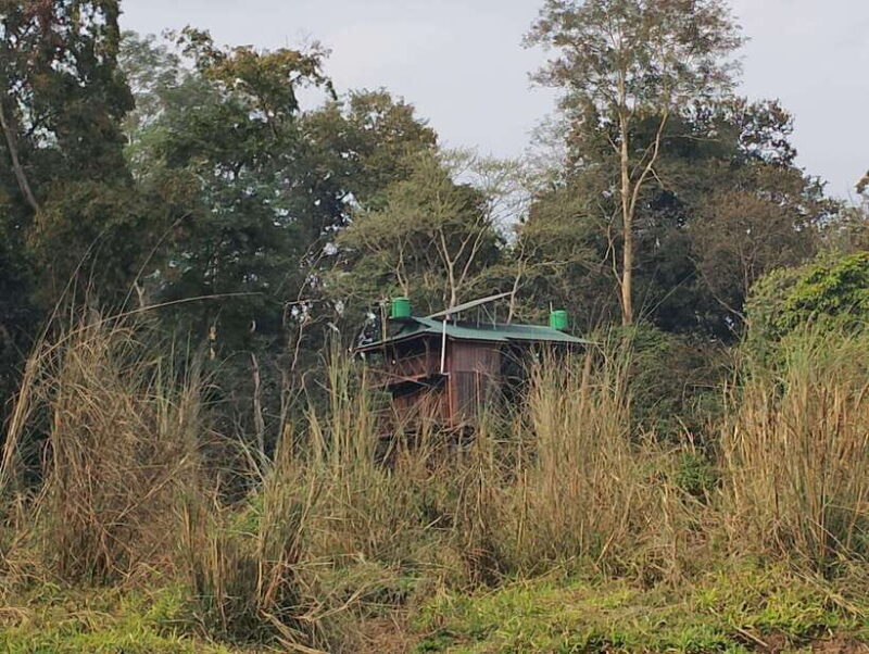 4 Days with One Tower Night Stay in Chitwan National Park - FAQ