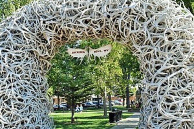 4 Days Yellowstone and Grand Teton Adventure from Salt Lake City - A Deep Dive into the Experience