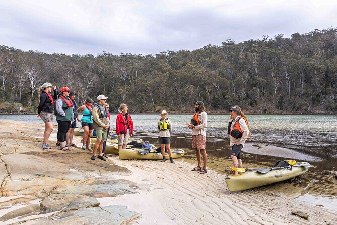 4 Hour Aboriginal Culture Tour Kayaking Pambula River - Exploring the 4 Hour Aboriginal Culture Kayaking Tour of Pambula River