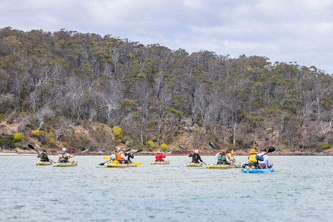 4 Hour Aboriginal Culture Tour Kayaking Pambula River - Diving Into the Experience: What to Expect