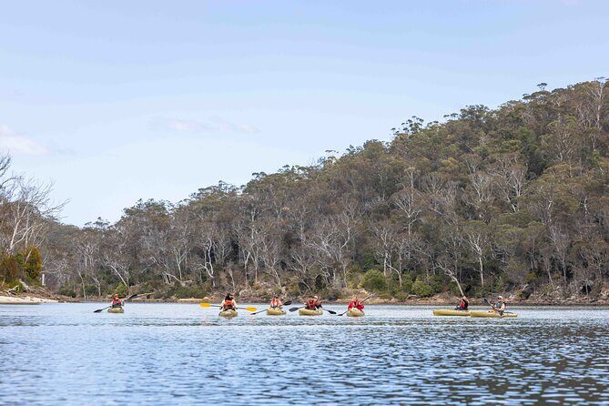 4 Hour Aboriginal Culture Tour Kayaking Pambula River - Final Word