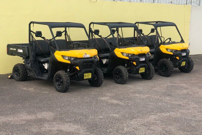 4-Hour Buggy Tour of New Providence (Inclusive of water & local deserts) - An In-Depth Look at the 4-Hour Buggy Tour