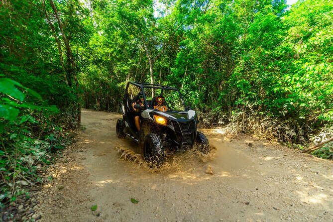 4-Hour Cancun Jungle Buggy Tour with Zipline Circuit & Cenote - An In-Depth Look at the Cancun Jungle Buggy Tour