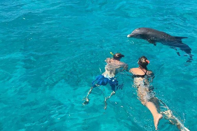 4-Hour Catamaran Sail and Snorkel Tour from Grace Bay - Who Should Book?