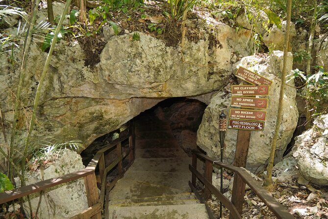 4-Hour Cenotes Tour with Hotel Pickup in Riviera Maya - Real Experiences and Feedback