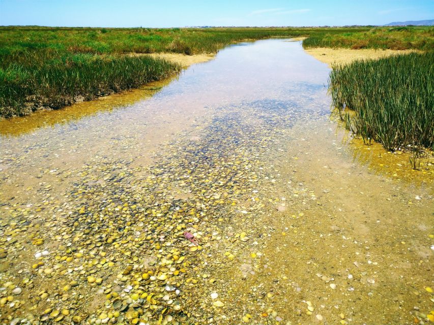 4 Hour Classic Boat Cruise, Ria Formosa Natural Park, Olhão. - Nearby Attractions