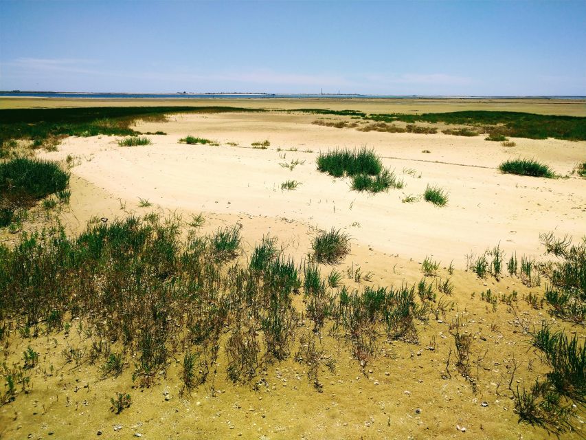 4 Hour Classic Boat Cruise, Ria Formosa Natural Park, Olhão. - Frequently Asked Questions