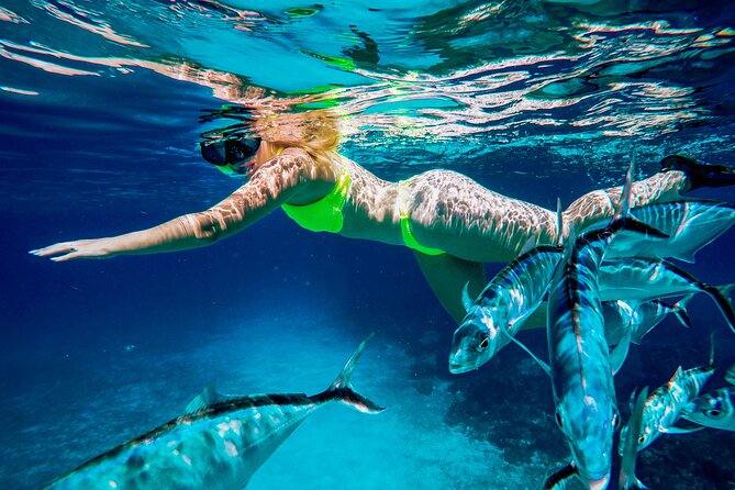 4 Hour Cozumel Reefs Snorkeling - Positive Experiences
