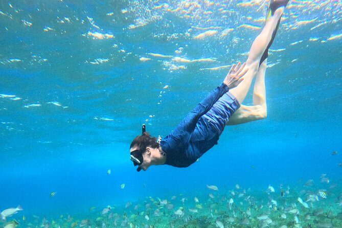 4 Hour Cozumel Turtle Sanctuary Experience on a Luxury Catamarán - FAQ