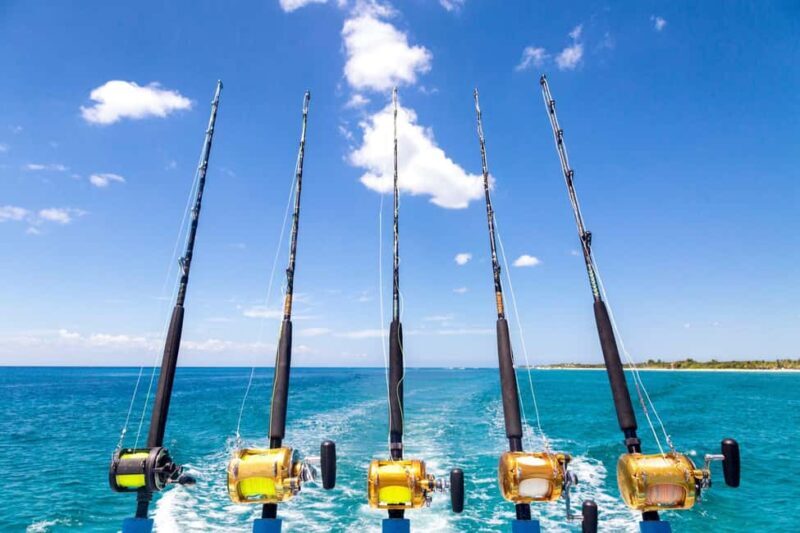4 hour deep sea fishing experience from punta cana - An Honest Look at the Experience