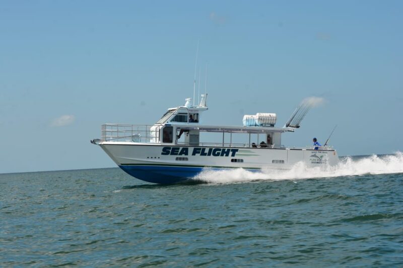 4 Hour Deep Sea Fishing - Key Points