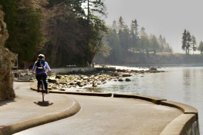 4 Hour E-bike Rental From Convenient Location on Seawall - Final Thoughts