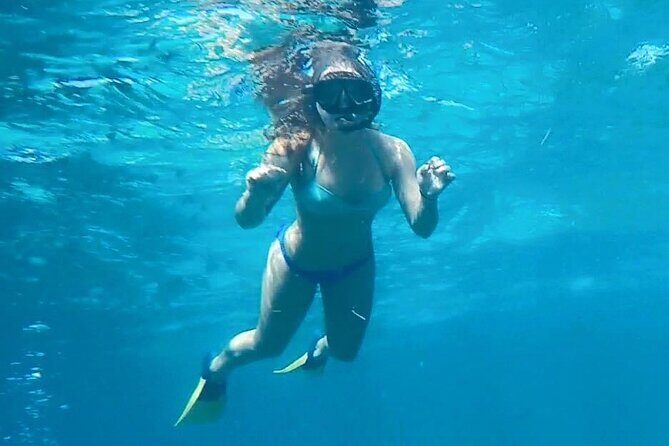 4 Hour Egmont Key Island Tour With Dolphins & Snorkeling Included - A Deep Dive Into the Experience