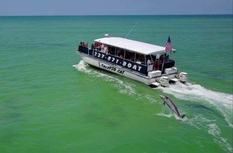 4 Hour Egmont Key Island Tour With Dolphins & Snorkeling - A Balanced Look at the Egmont Key Island Tour
