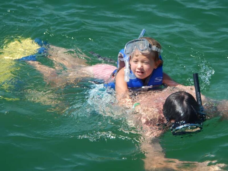 4 Hour Egmont Key Island Tour With Dolphins & Snorkeling - Who Should Consider This Tour?