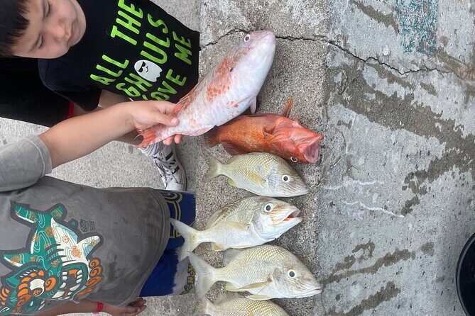 4-Hour Fishing Charter in Nassau - An In-Depth Look at the Nassau Fishing Charter