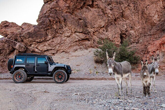 4-Hour Guided Off-Road Adventure to Wild Horses and Old Saloon - Key Points