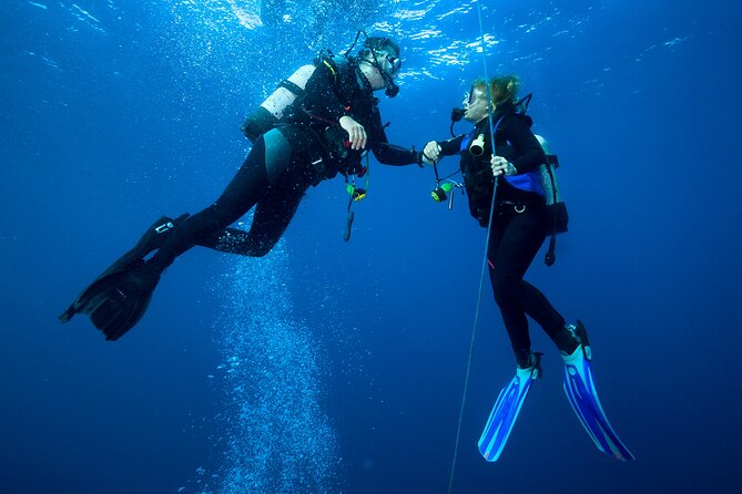 4 Hour Guided Scuba Diving Adventures Review - Good To Know