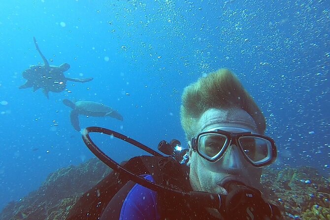 4 Hour Guided Scuba Diving Adventures Review - Health and Safety Requirements