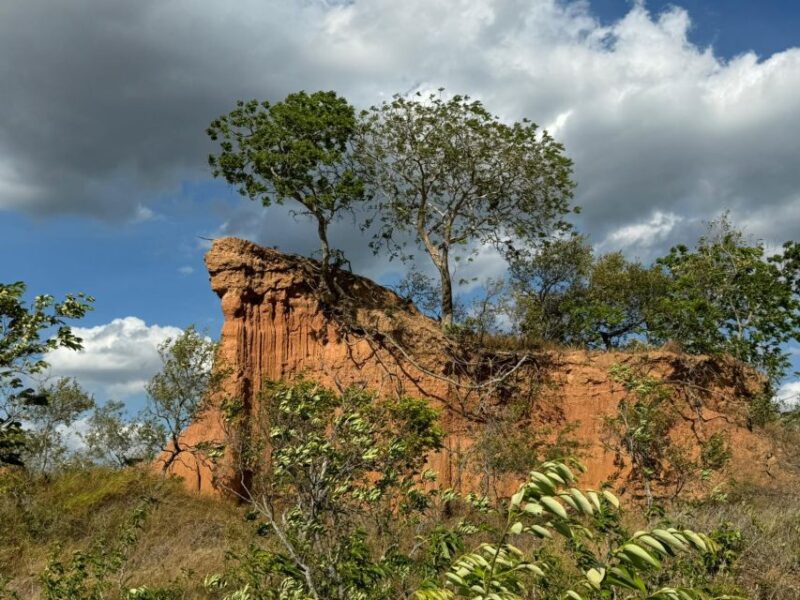 4- Hour Hiking Tour in Two Different Tropical Worlds - Participant Restrictions