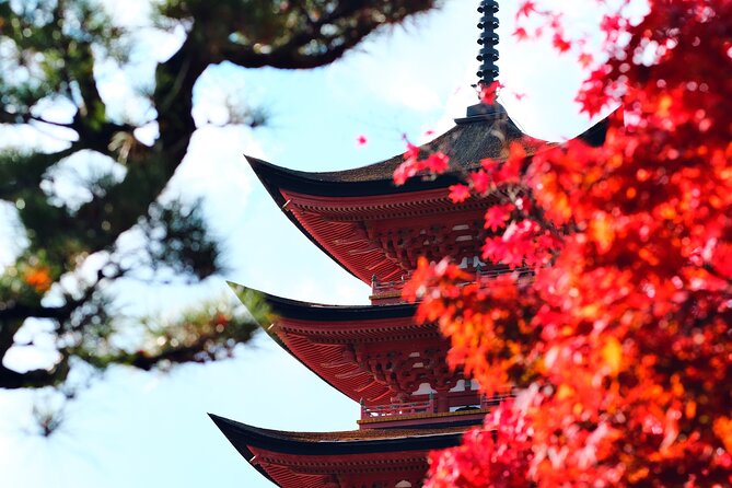 4 Hour Hiroshima Miyajima Private Tour - What to Expect