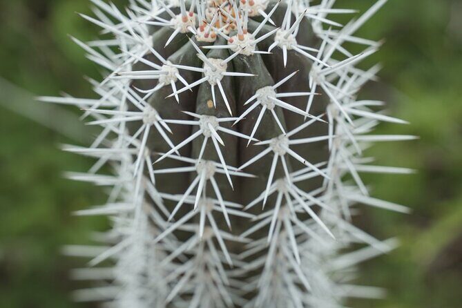 4 hour Individual Island Tour for 1 to 12 persons - Frequently Asked Questions