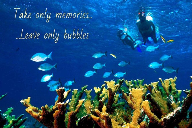 4 Hour Molokini Snorkel Tour Adventure in Maui - Accessibility and Fitness Requirements