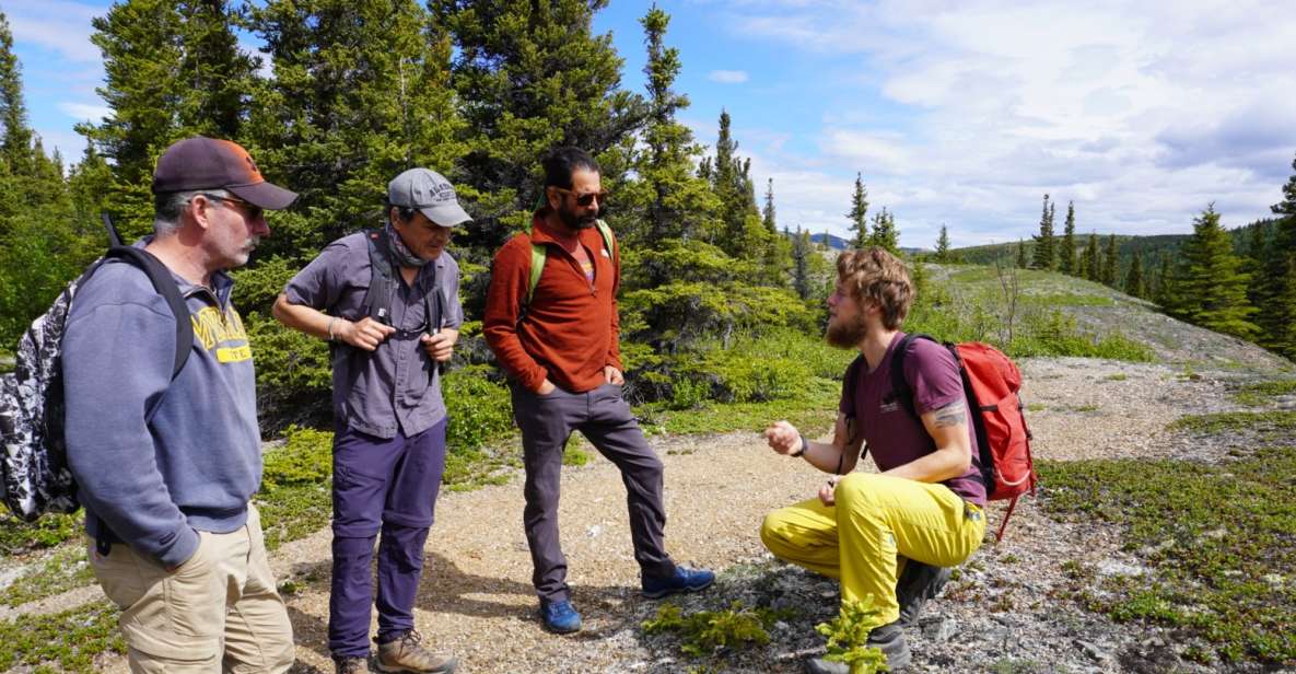 4 Hour Off-Trail Wilderness Wonders Tour in Denali - Discovering Alaskan Flora and Fauna