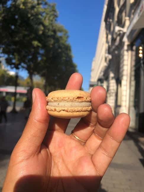 4-hour panoramic tour of Paris in Portuguese - Key Points