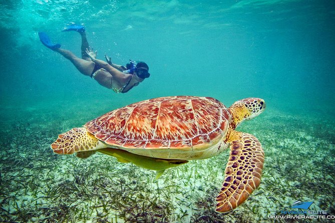 4-Hour Private 38 Catamaran Tour to Paamul Beach With Food, Open Bar & Snorkel - Itinerary