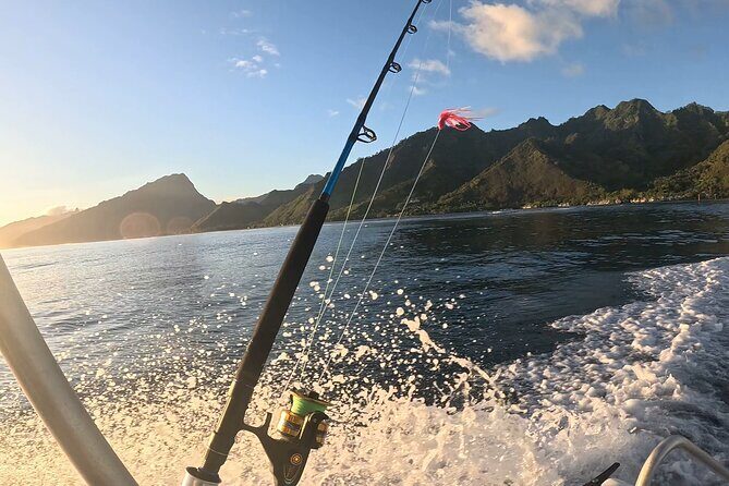 4 Hour Private Fishing Discovery Tour - What to Expect from the 4 Hour Private Fishing Discovery Tour