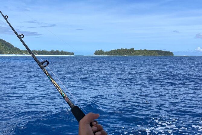 4 Hour Private Fishing Discovery Tour - The Itinerary: What a Typical 4-Hour Day Looks Like
