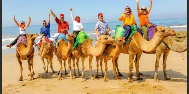 4 Hour Private Tour of Tangier - Notable Sites