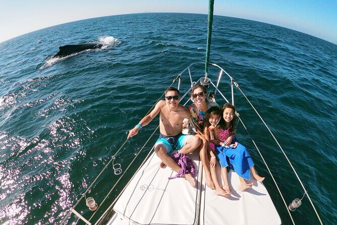4-Hour Private Whale Watching in Puerto Vallarta - Key Points