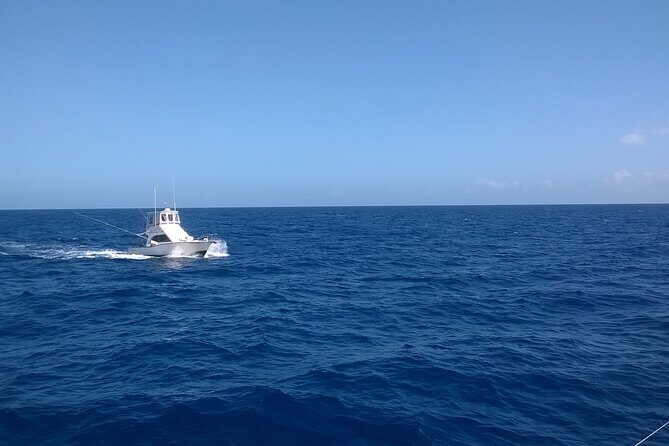 4 Hour Punta Cana Fishing Tour - What to Expect from the Tour
