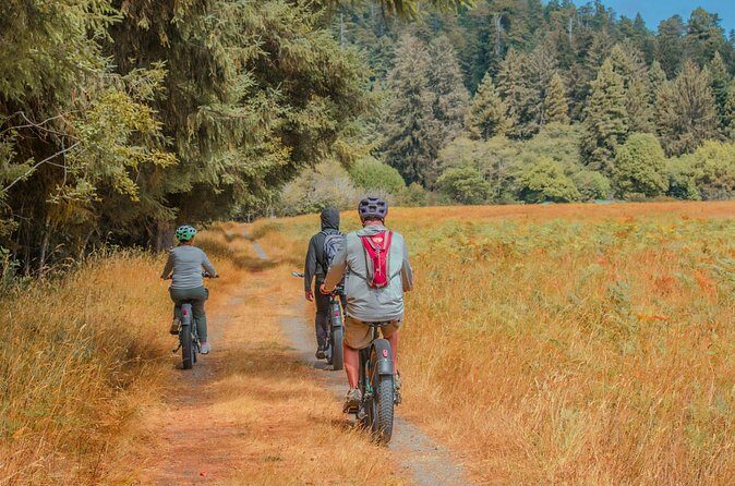 4 Hour Redwood National and State Park E Bike Adventure - What Reviewers Say (Based on Known Feedback)