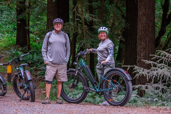 4 Hour Redwood National and State Park E Bike Adventure - Who Will Love This Tour?