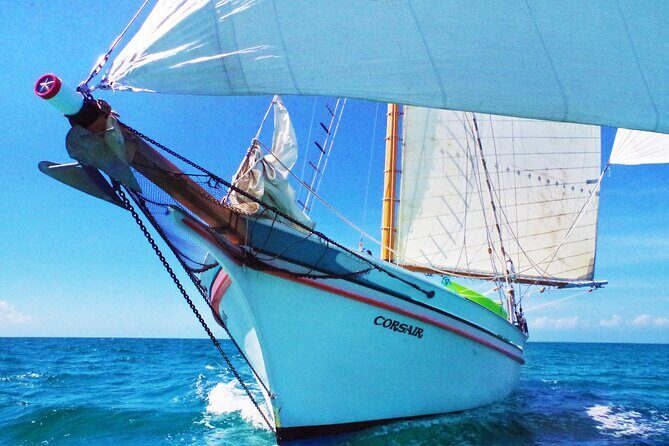 4-hour snorkel cruise to Underwater Sculptures with boat dogs - Why Travelers Love This Tour