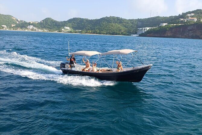 4-hour snorkel cruise to Underwater Sculptures with boat dogs - Who is This Tour Best For?