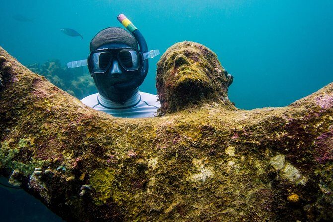 4-hour snorkel cruise to Underwater Sculptures with boat dogs - FAQs