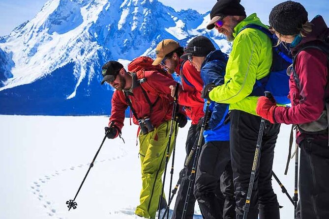4 Hour Snowshoe in Grand Teton National Park - Experience the Greater Yellowstone