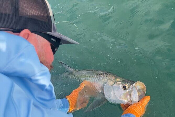 4 Hour Sunset Seasonal Tarpon Charter from Key West - Final Thoughts