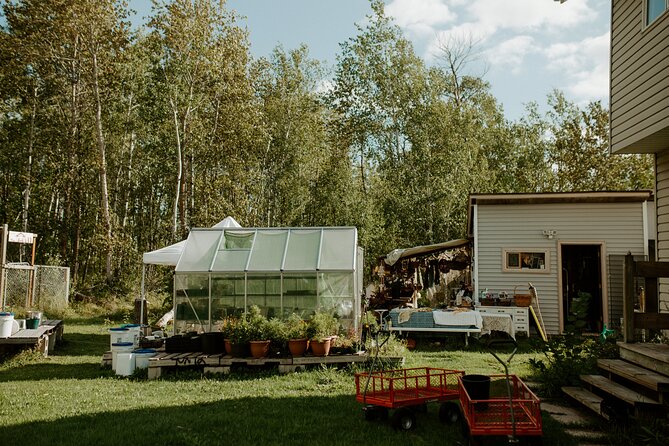 4-hour Tinta Experience At the Farm in La Broquerie - What to Expect