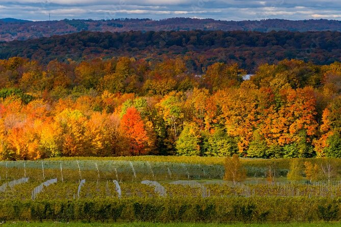 4-Hour Traverse City Sunset Wine Tour: 3 Wineries on Old Mission Peninsula - Wine Tasting Experiences