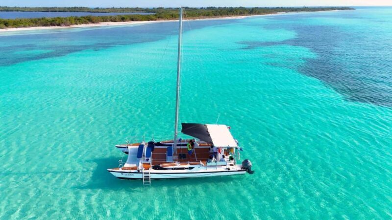 4 Hour Turtle Sanctuary Experience on a Luxury Catamarán - Key Points