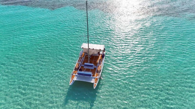 4 Hour Turtle Sanctuary Experience on a Luxury Catamarán - Snorkeling and Marine Encounters: What You Might Expect